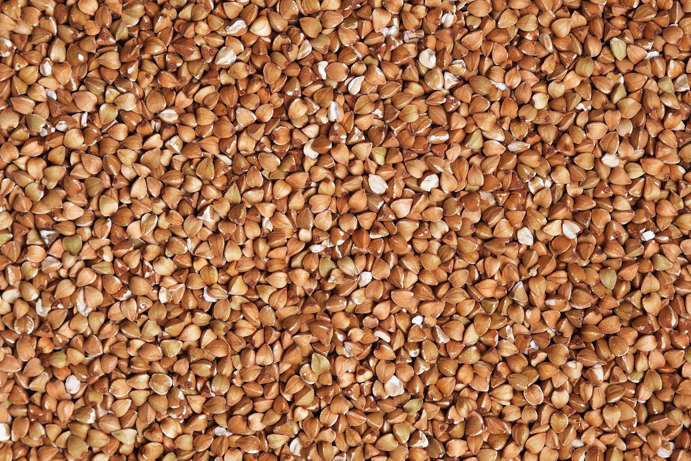 Buckwheat