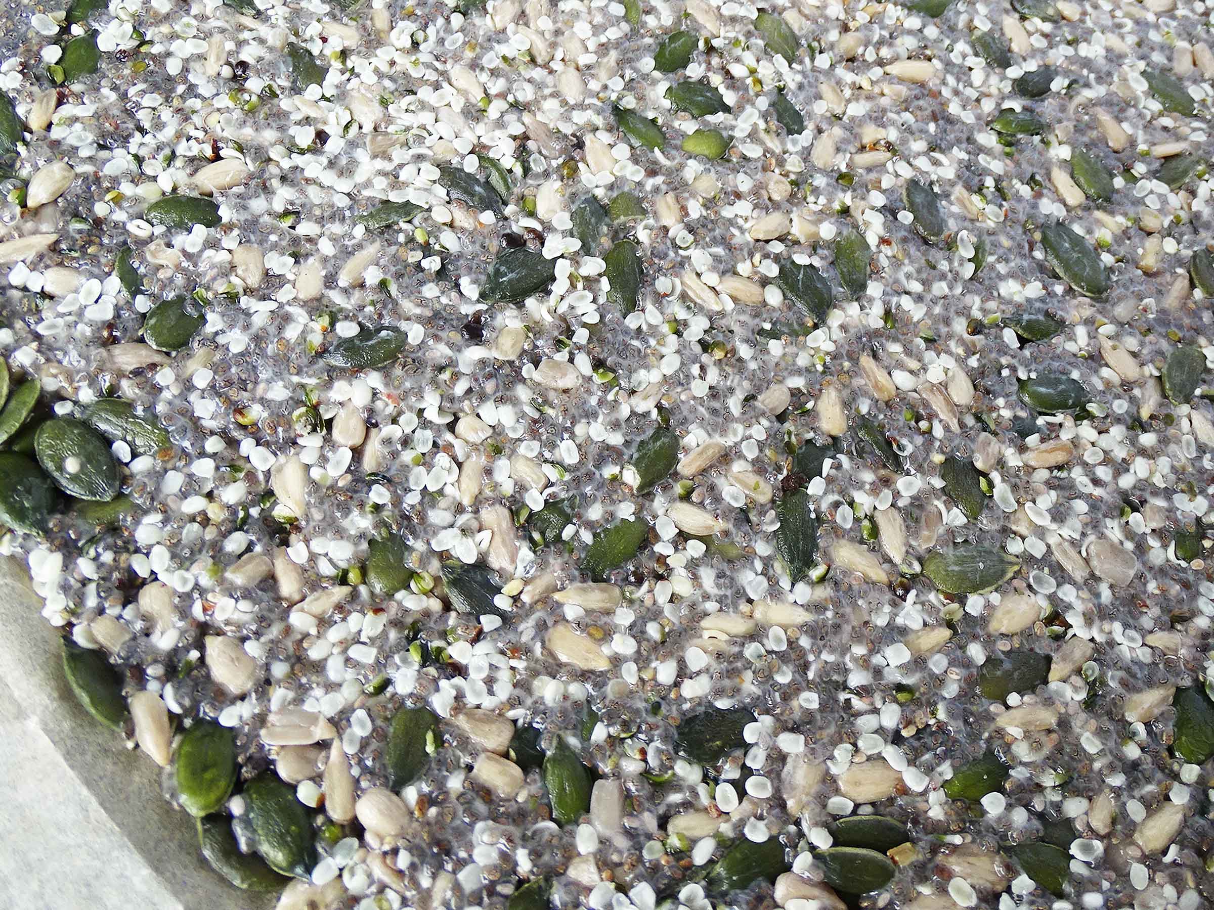 Seed Cracker Batter