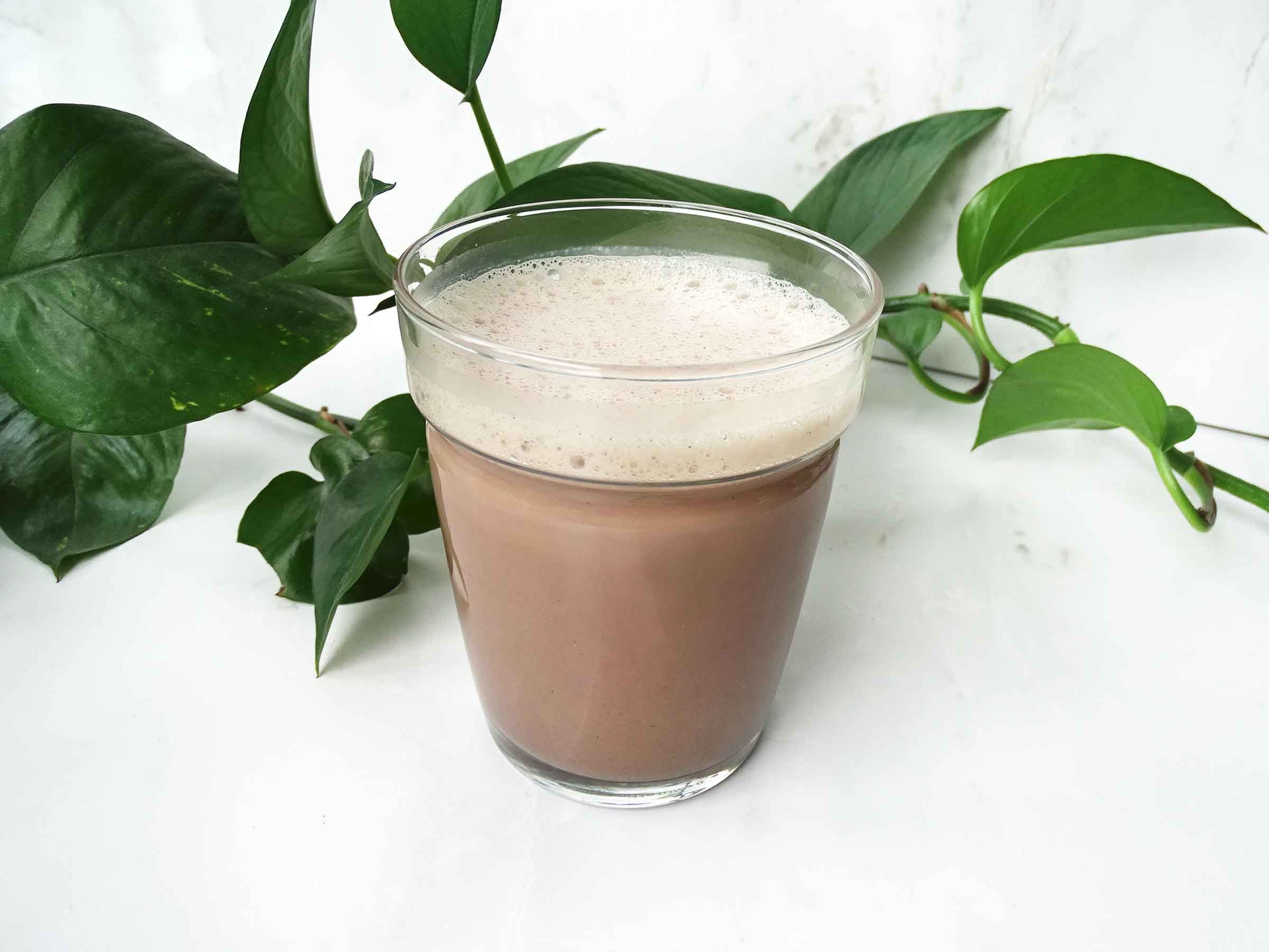 Sugar Free Dairy Free Spirulina Hot Chocolate