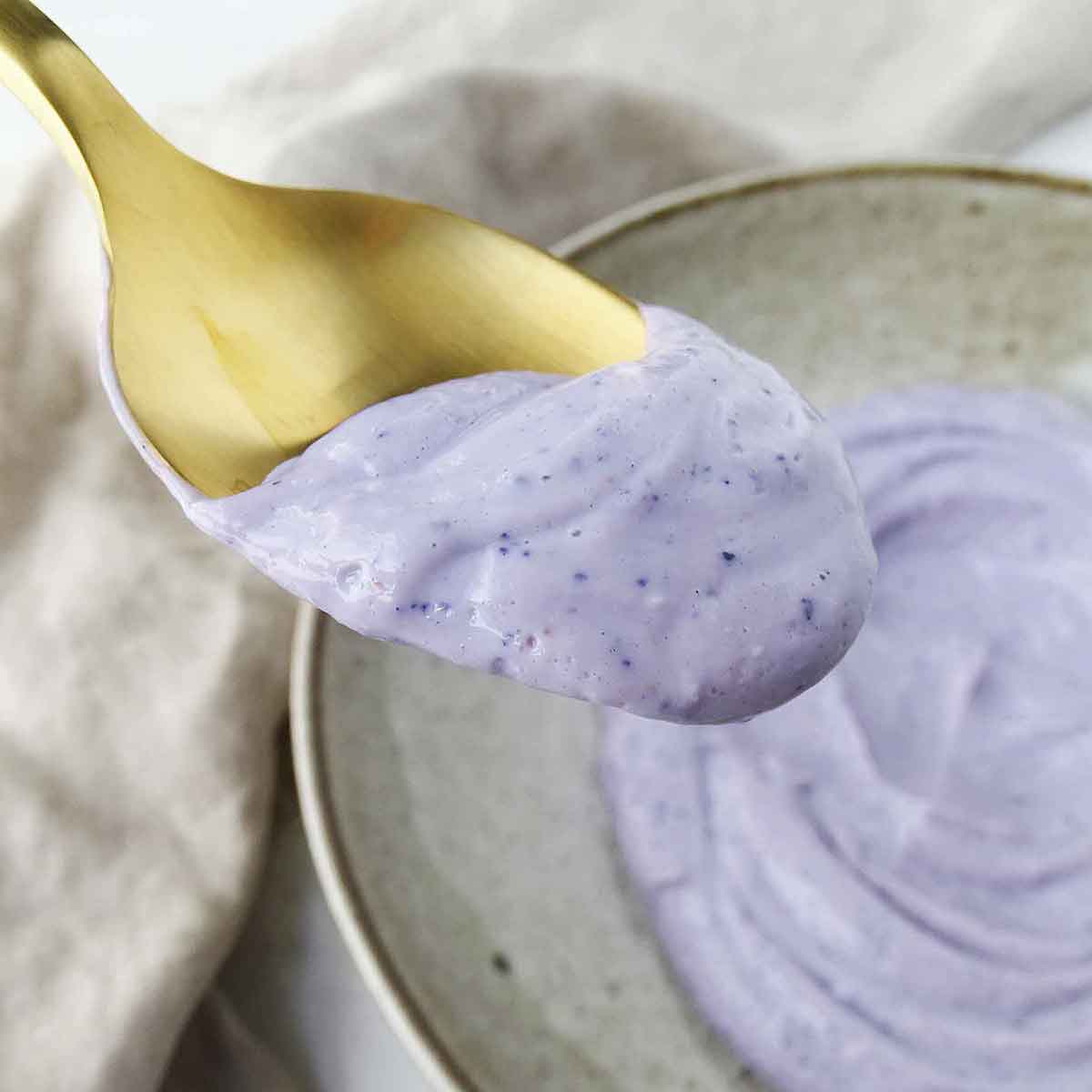 Dairy Free Lemon and Blueberry Tofu Yogurt