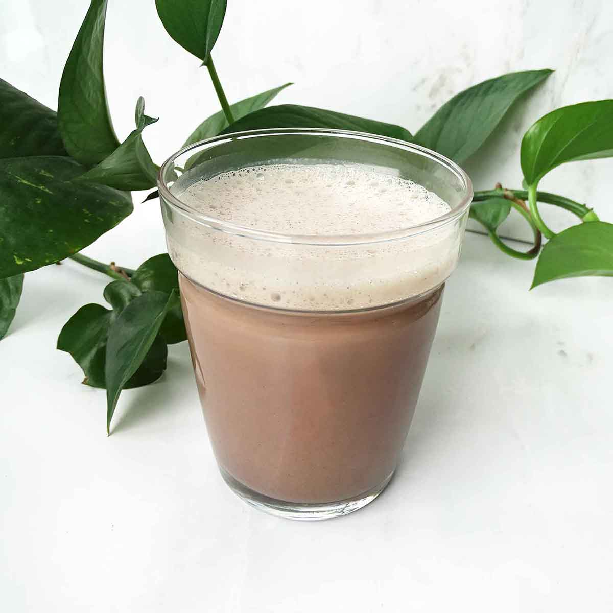 Sugar Free Spirulina Hot Chocolate