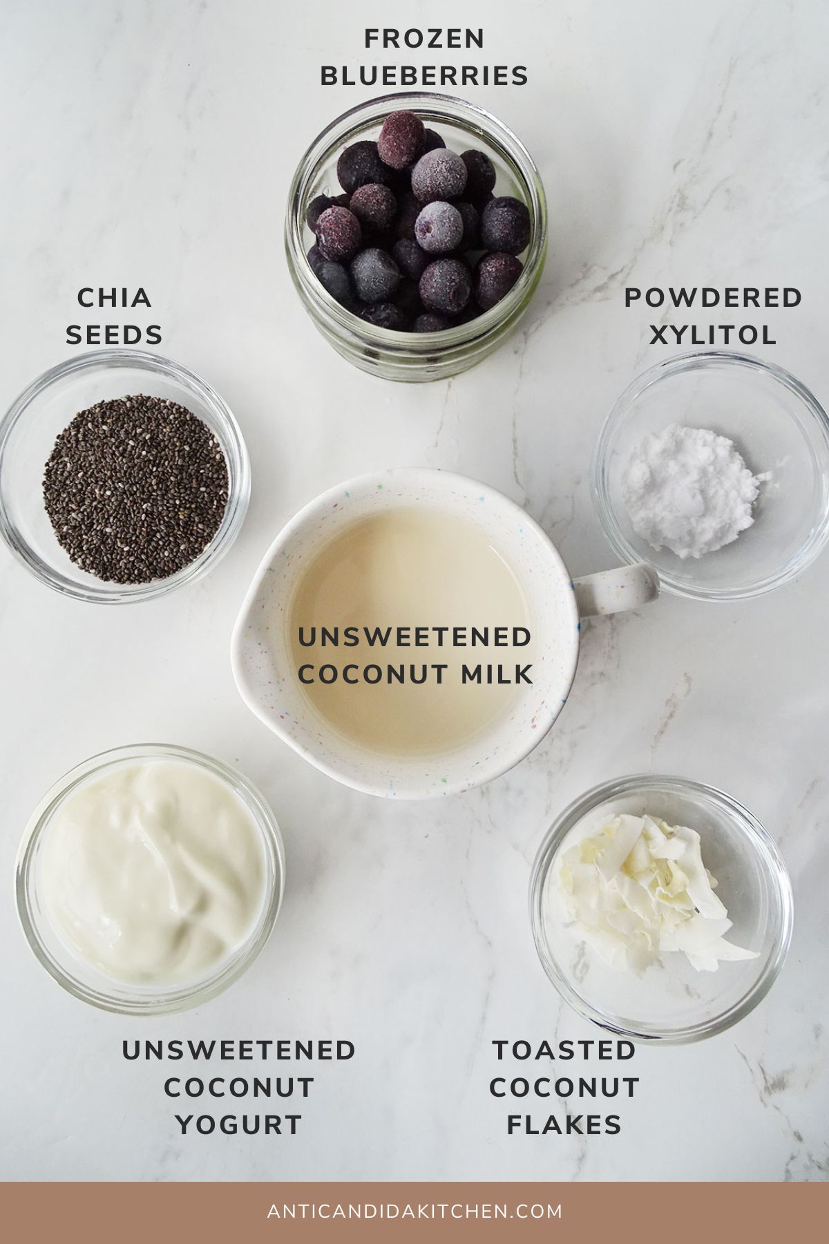 Blueberry Chia Pudding Ingredients