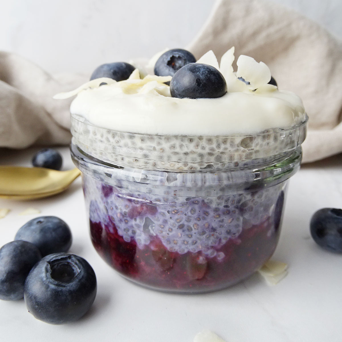 Blueberry Coconut Milk Chia Pudding