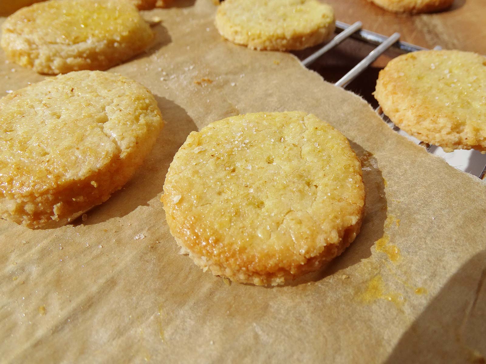 Best Gluten Free Ritz Crackers Recipe