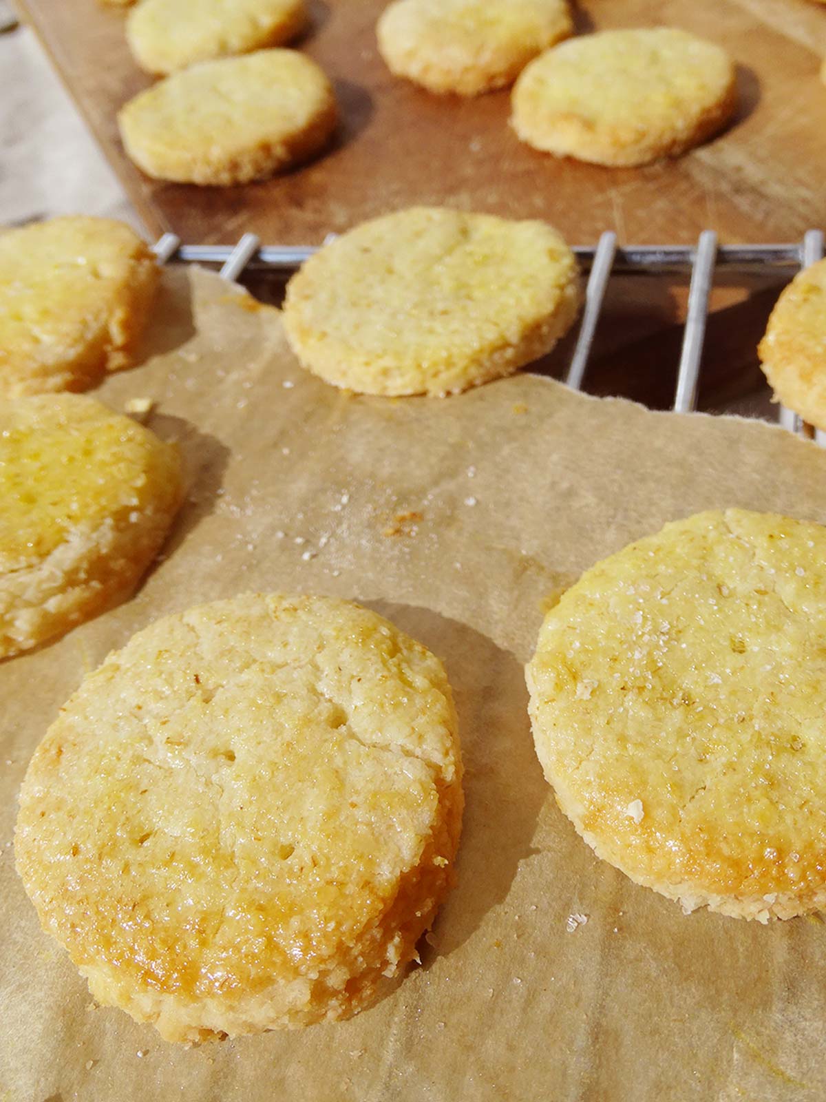 Healthy Gluten Free Ritz Crackers Recipe