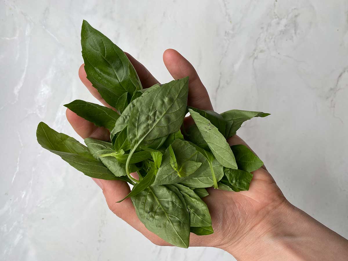 Handful of fresh basil