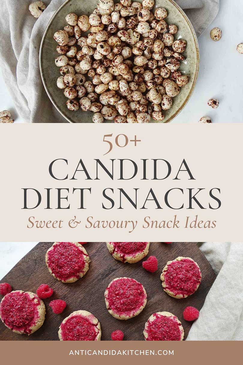 Over 50 Candida Diet Snacks Ideas