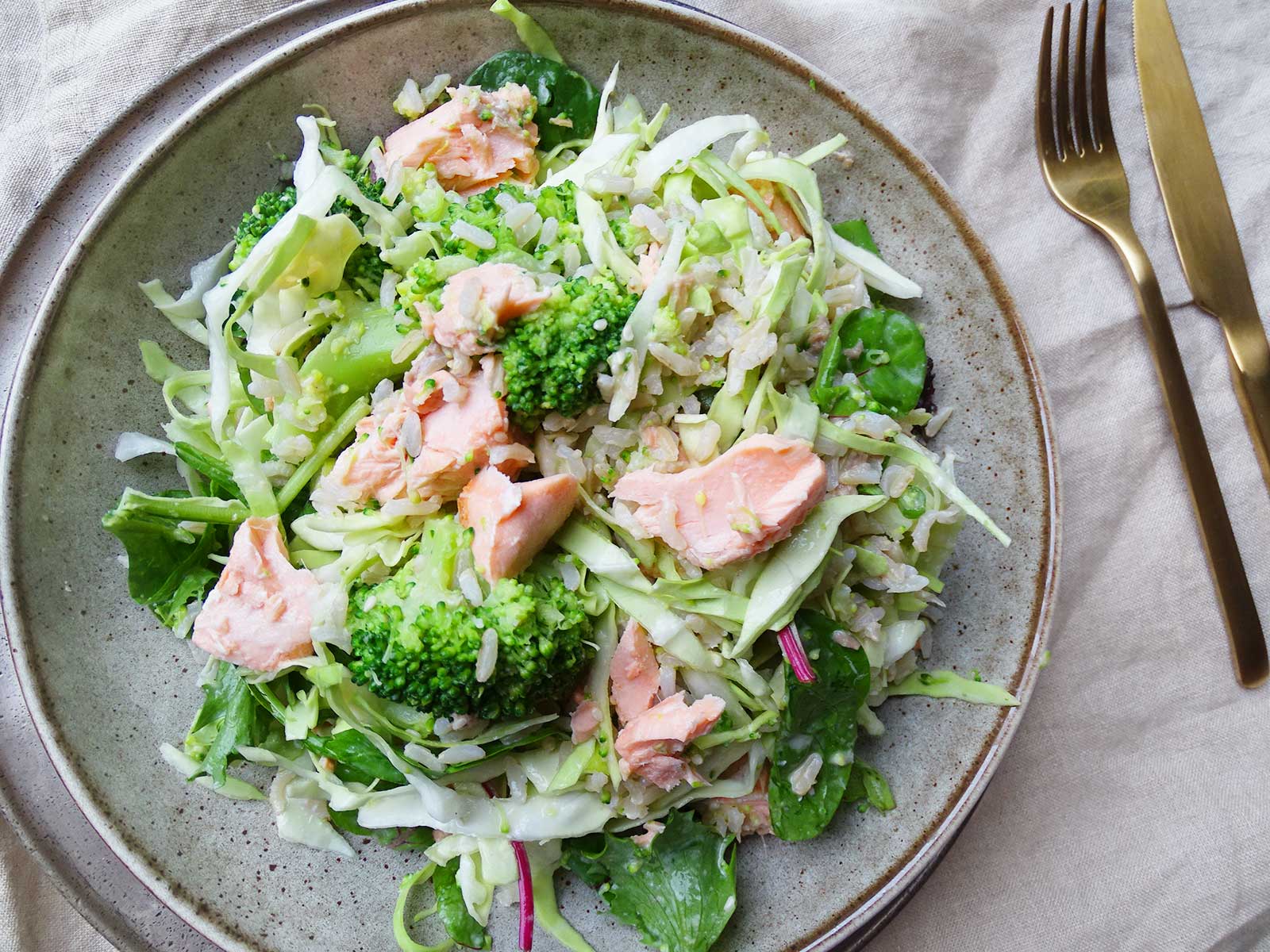 Asian Inspired Salmon and Broccoli Salad