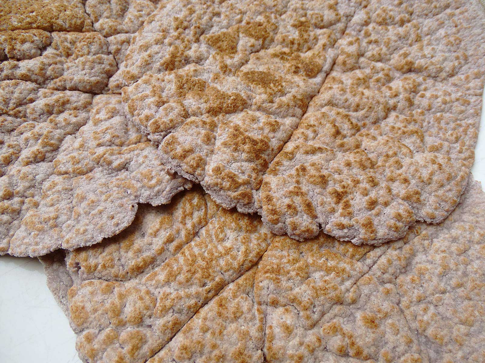 Gluten Free Tortillas with Coconut Flour