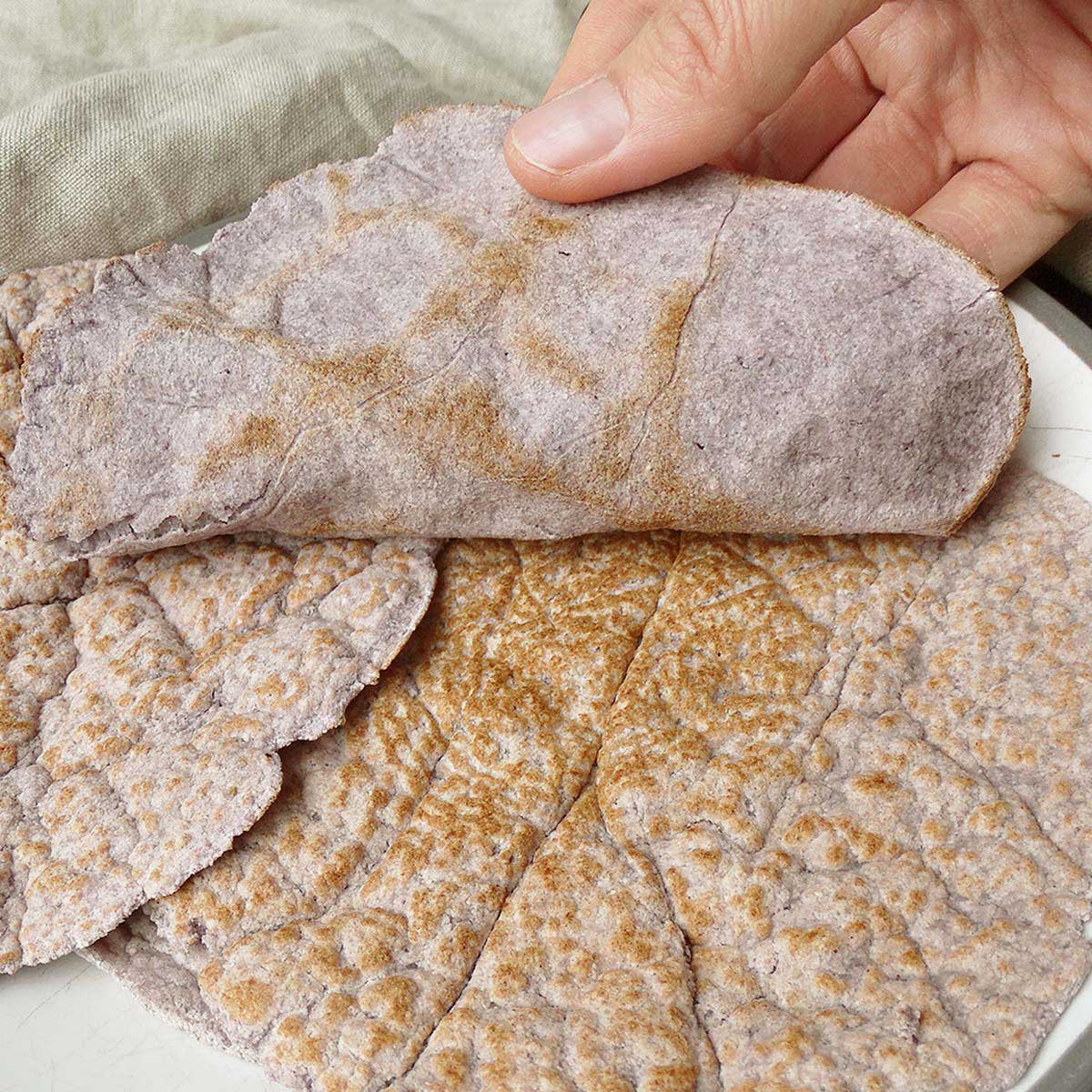 GF Tortillas with Coconut Flour