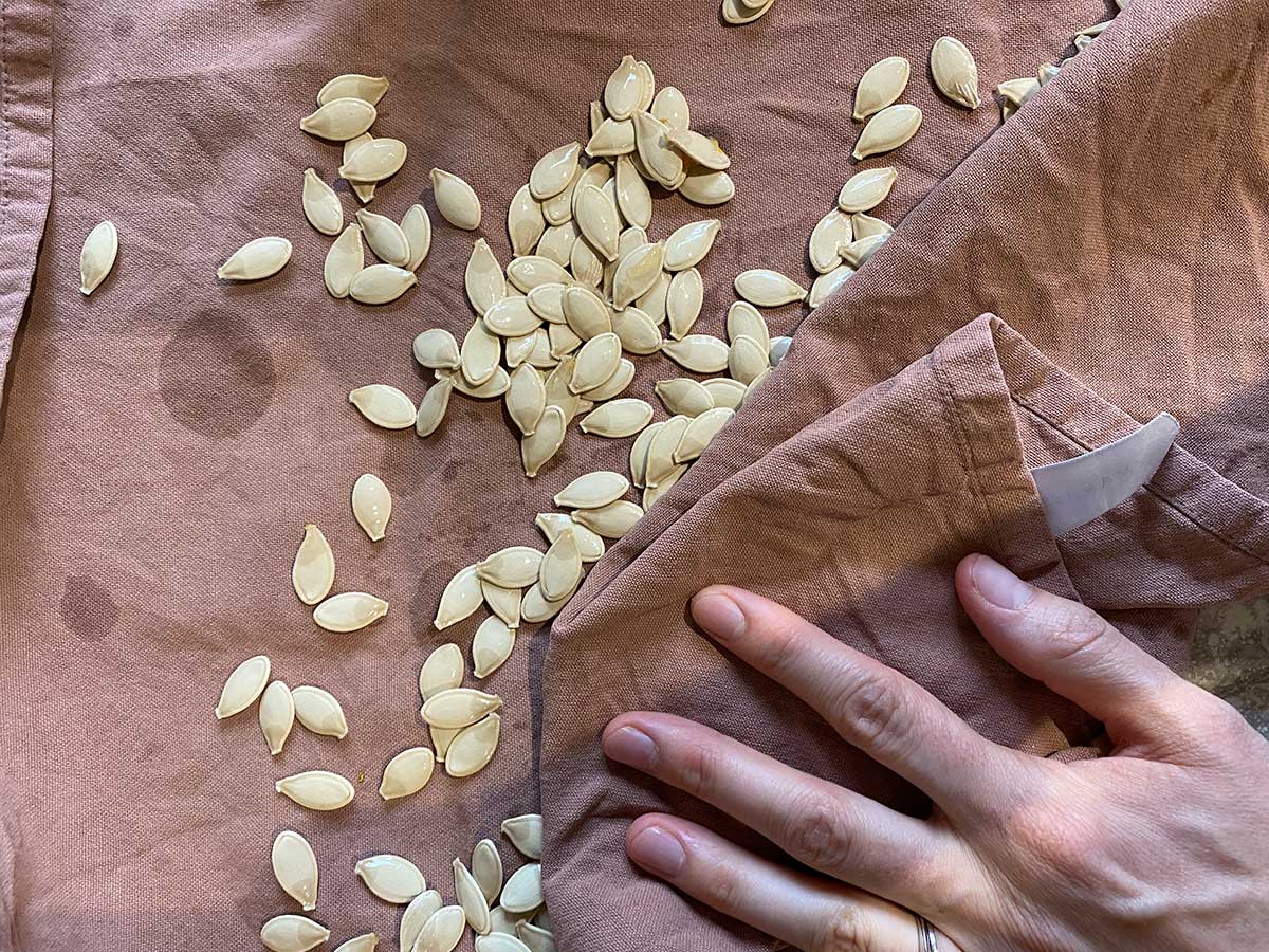 Step 5 - How to Prepare Roasted Pumpkin Seeds