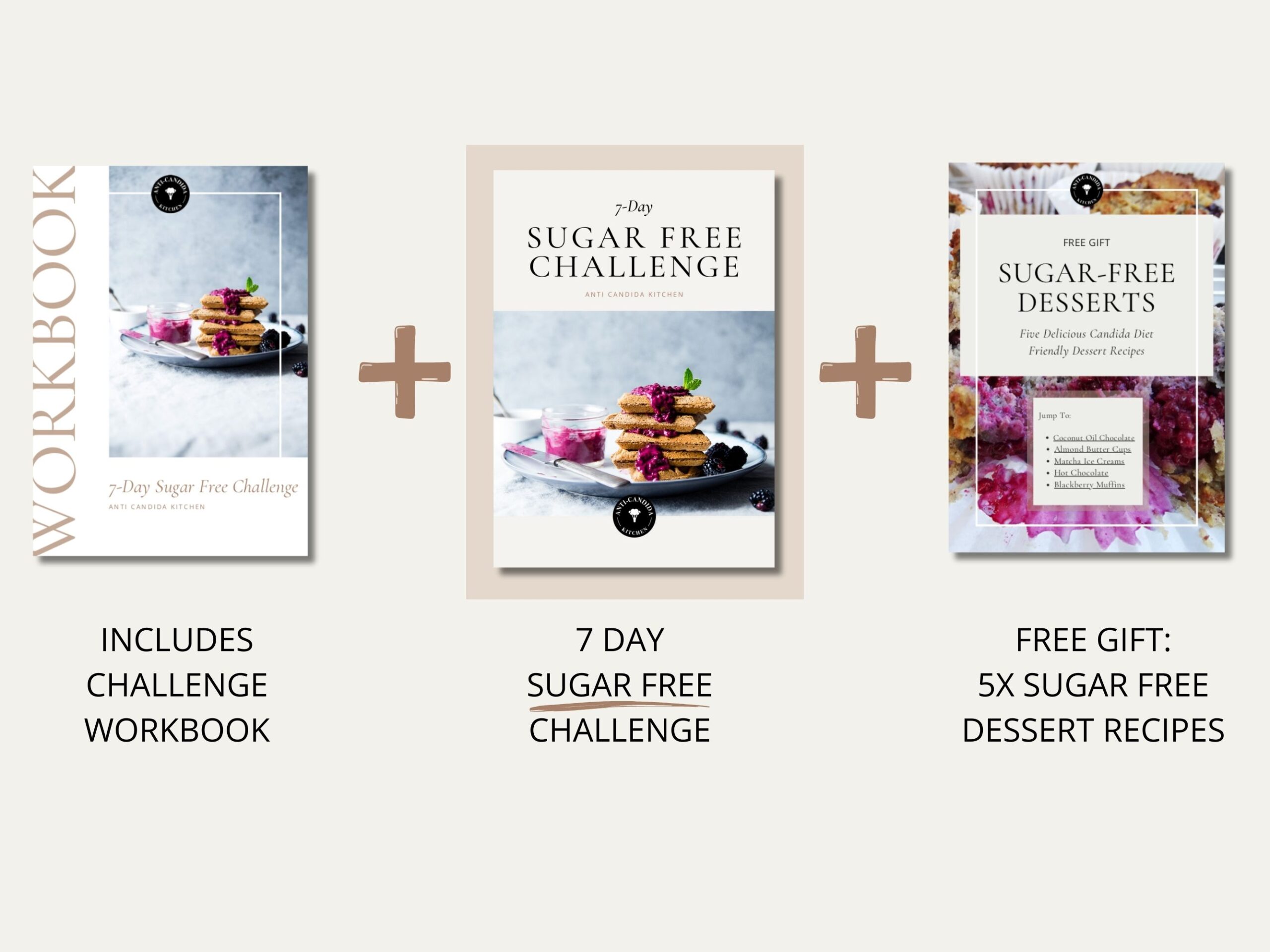 What's Included in the 7 Day No Sugar Challenge